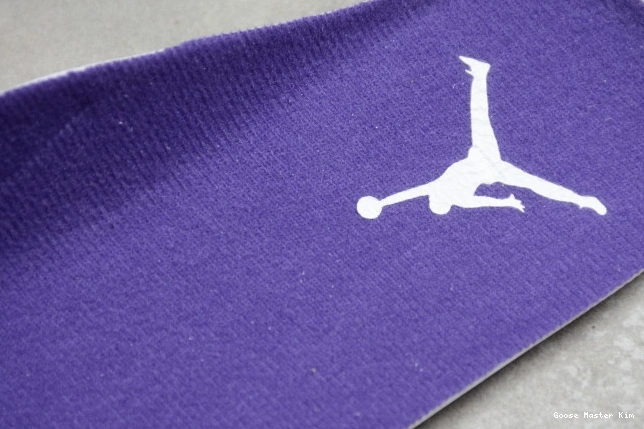 Purple Air Jordan CT8527-115 Court 4 0527